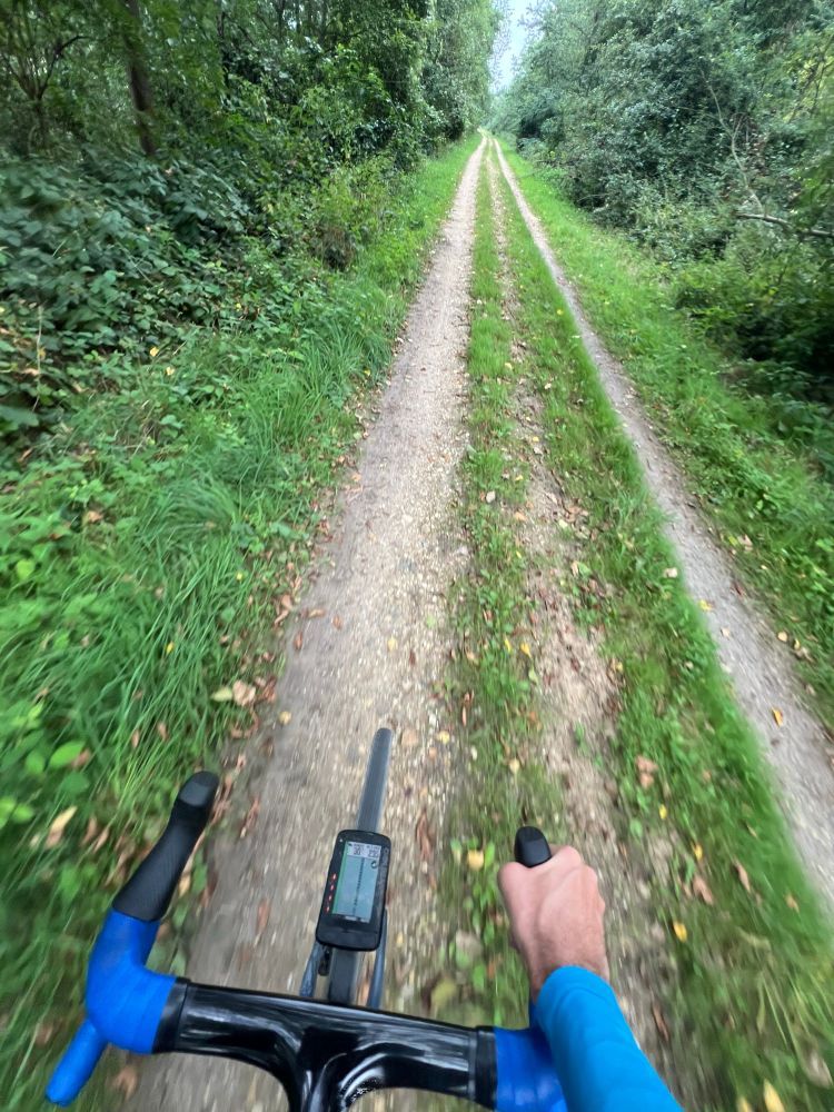 POV of a bike ride on a forest gravel path