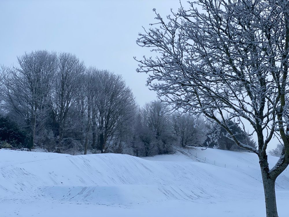 A snowy landscape in Scotland. Frost covered trees and snow covered hills.
