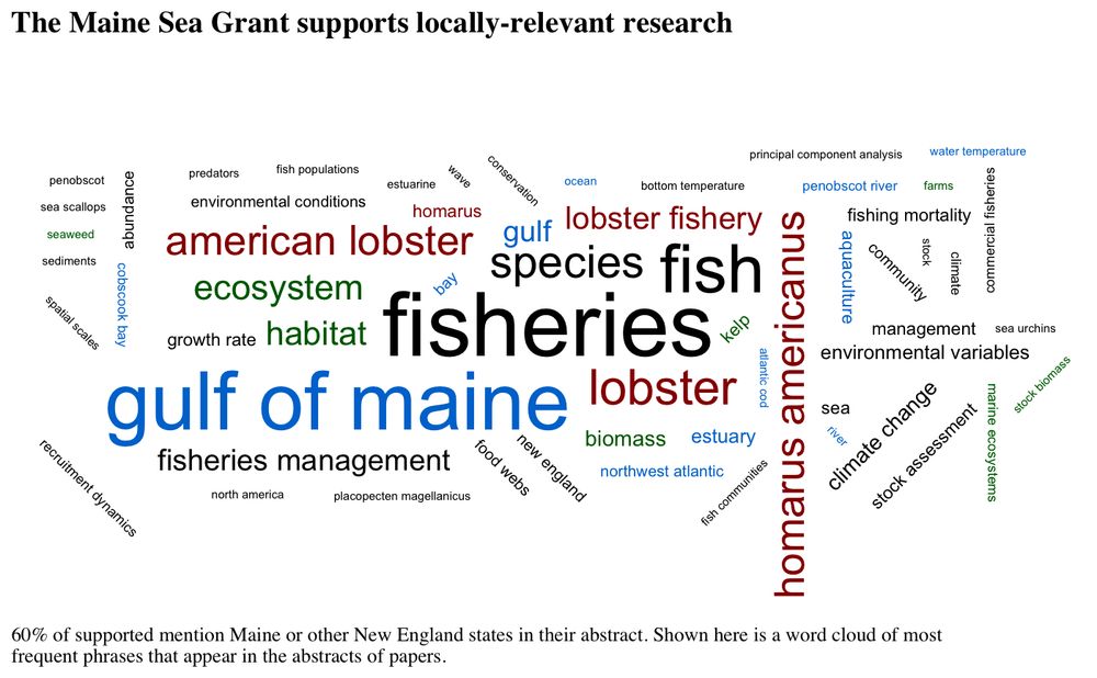 A word cloud of common terms appearing in papers supported by the grant. "Gulf of Maine", "Fisheries", and "lobster" are prominent terms. 