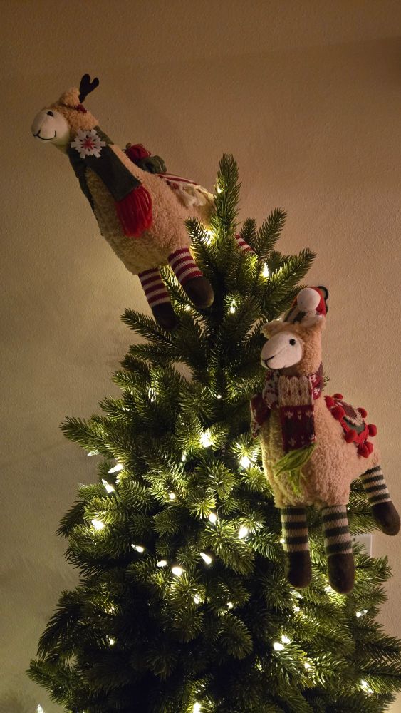 Two festive stuffed llamas wearing knitted scarfs adorn a Christmas tree lit with small white lights.