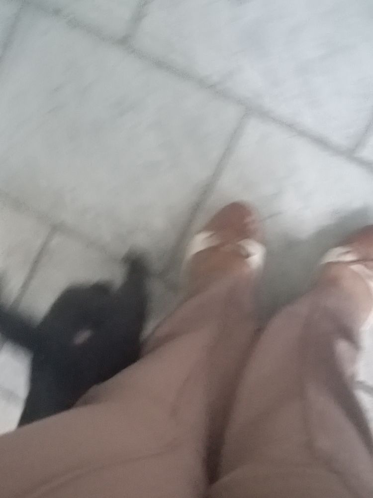 registro borrado da visão inferior de um gato preto junto de uma mulher