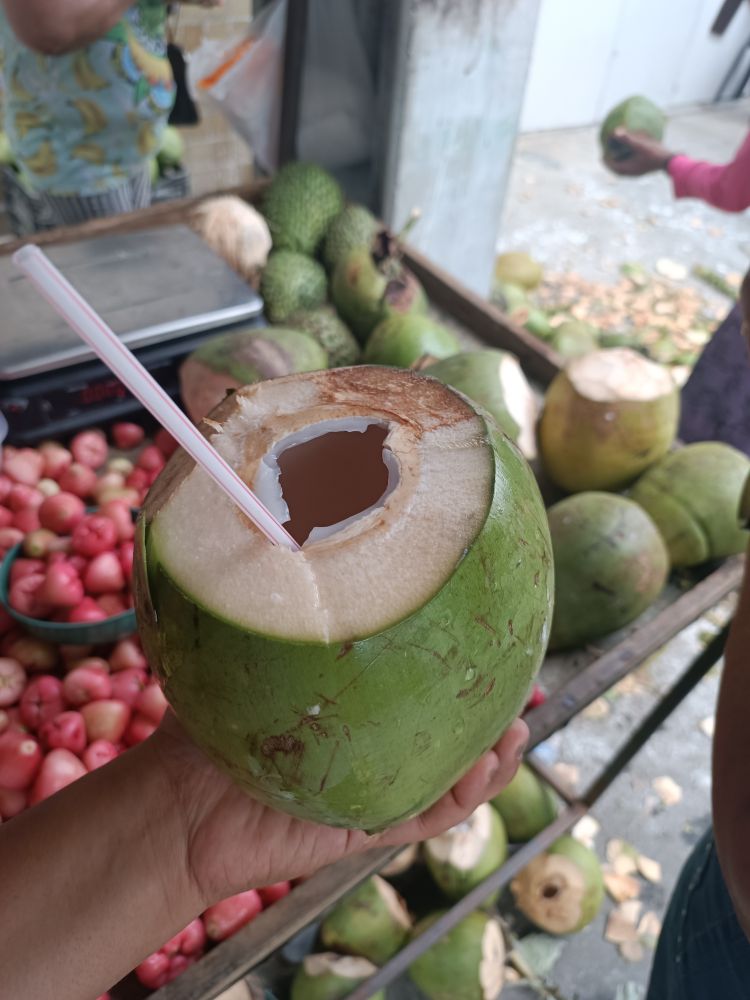 mão segurando um coco verde com canudo. ao fundo, algumas frutas e outros cocos