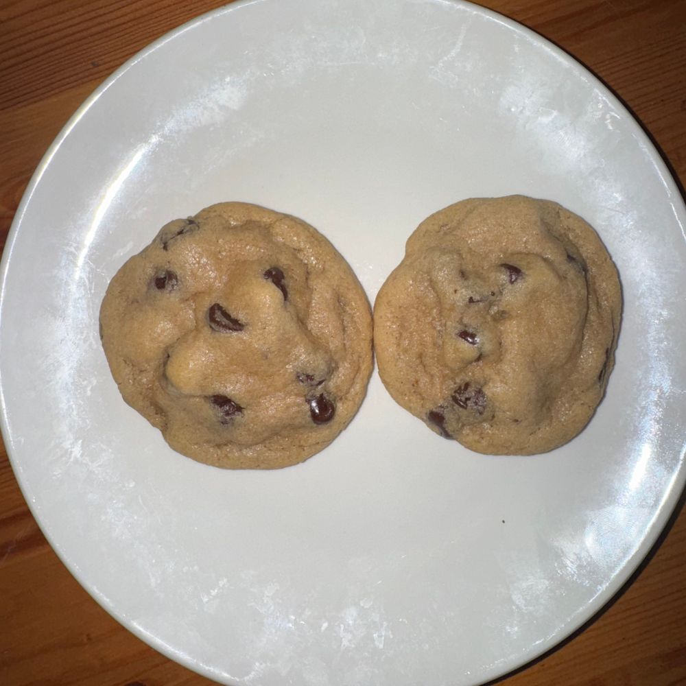 Two fresh baked chocolate chip cookies on a plate.