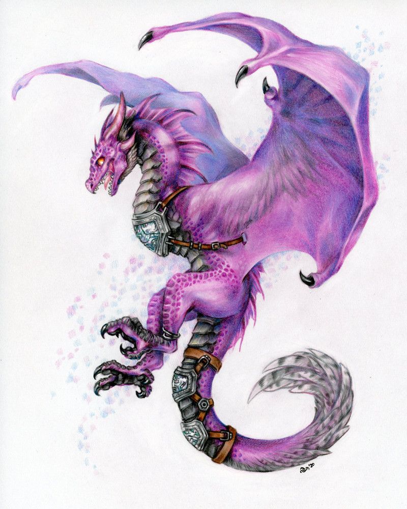 A wyvern with a purple hide leaping up, posed so its face and body is in profile. It has leathery wings with feathers along its wing arm and digits. Its underbelly has grey scutes and wings have grey feathers. The feet are split like a snowy owl's talons, with two talons at the back and two at the front. All along its chest and tail are metal plates inlaid with mother of pearl. Flecks of lilac and baby blue rise up in a diagonal behind its body. Colour pencil.