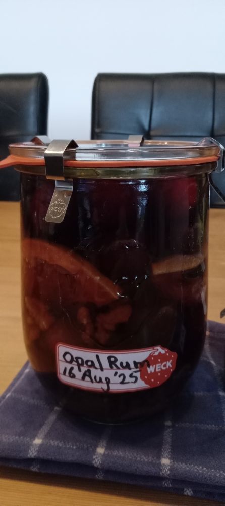 Prunes conserved in rum.