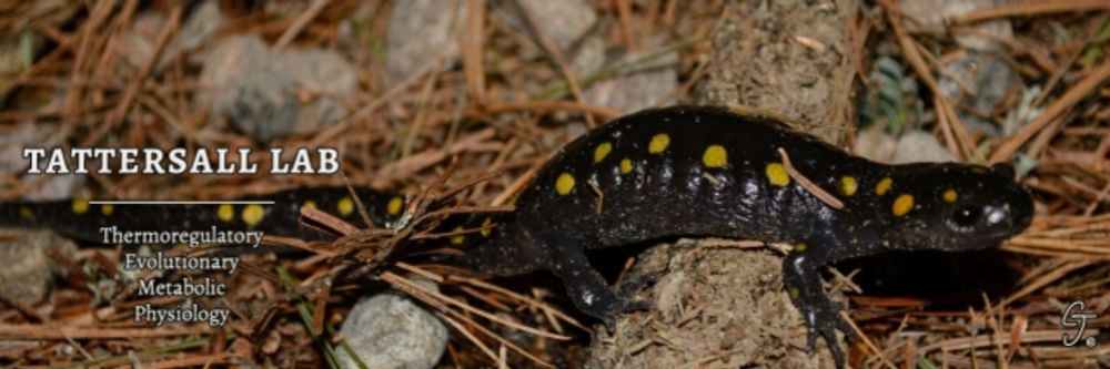 Salamanders show inherent seasonal differences in thermal preference