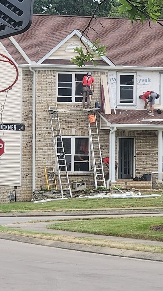 scaffolding