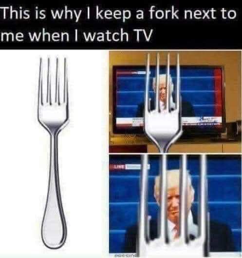 This is why I keep a fork next to me when I watch TV
Pictured- trump behind bars( fork tines) 