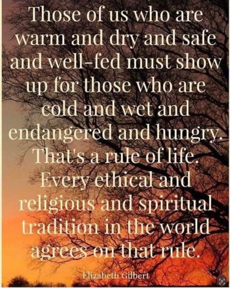 A tree standing tall in the sunset 