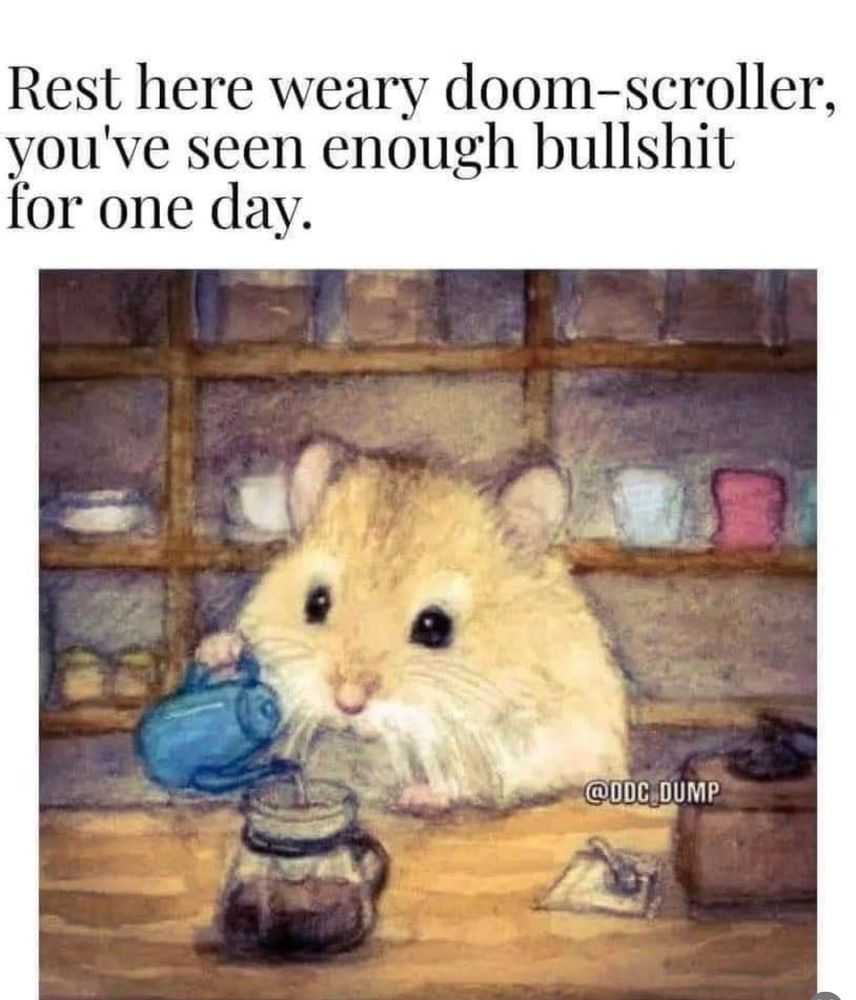 Rest here weary doom-scroller, you’ve seen enough bullshit for one day 