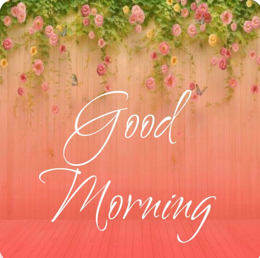 Comment image