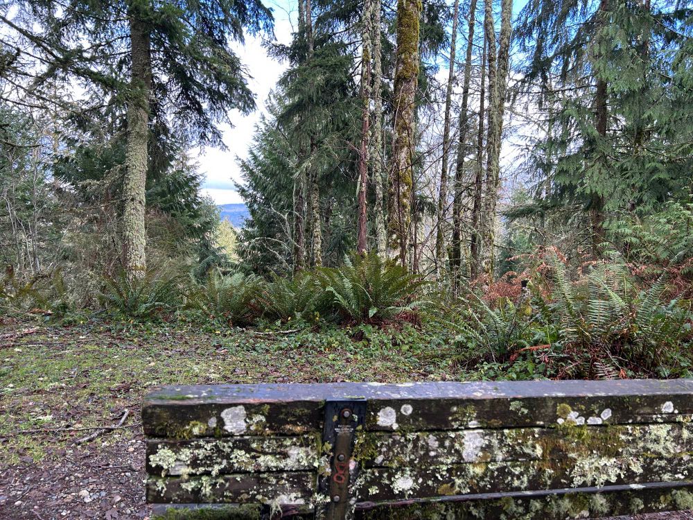 Overlook view from a bench in the woods