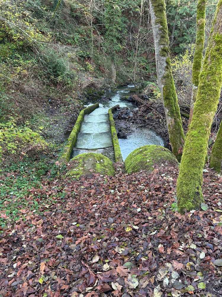 Picture of a salmon ladder