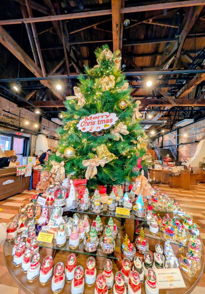 2025年11月23日 撮影