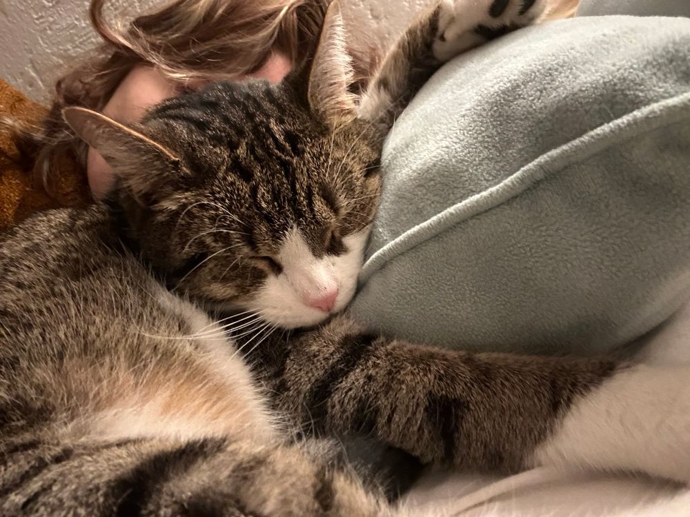 brincki sleeping as i am cuddling him