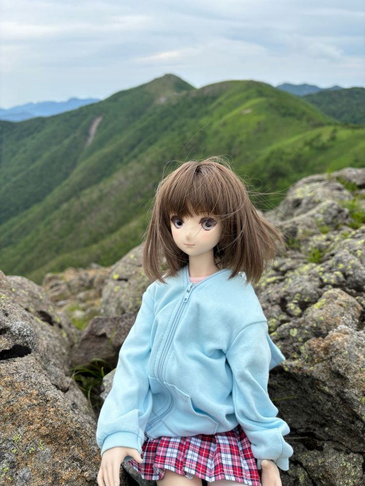 ドルフィードリーム