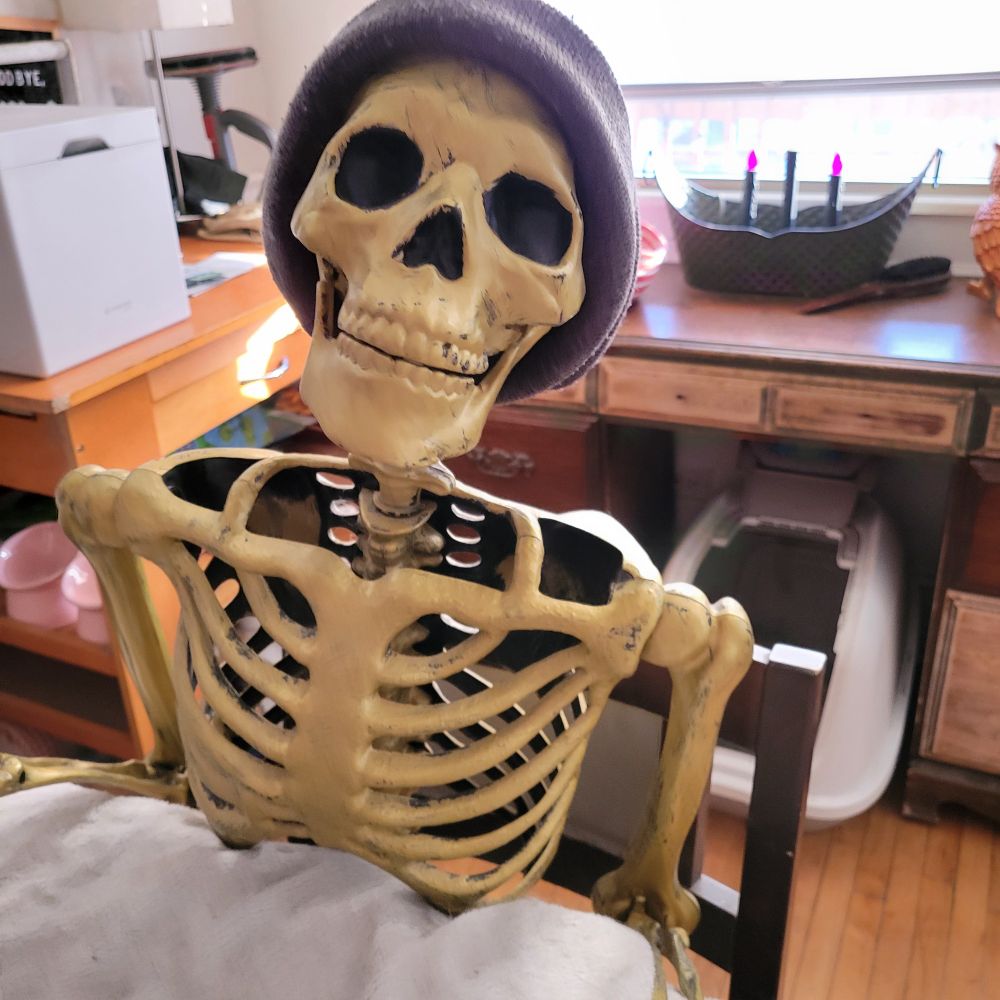A metallic gold plastic skeleton wearing a beanie (toque) sitting at a dining room table his name is Dumb Dead Danny. 