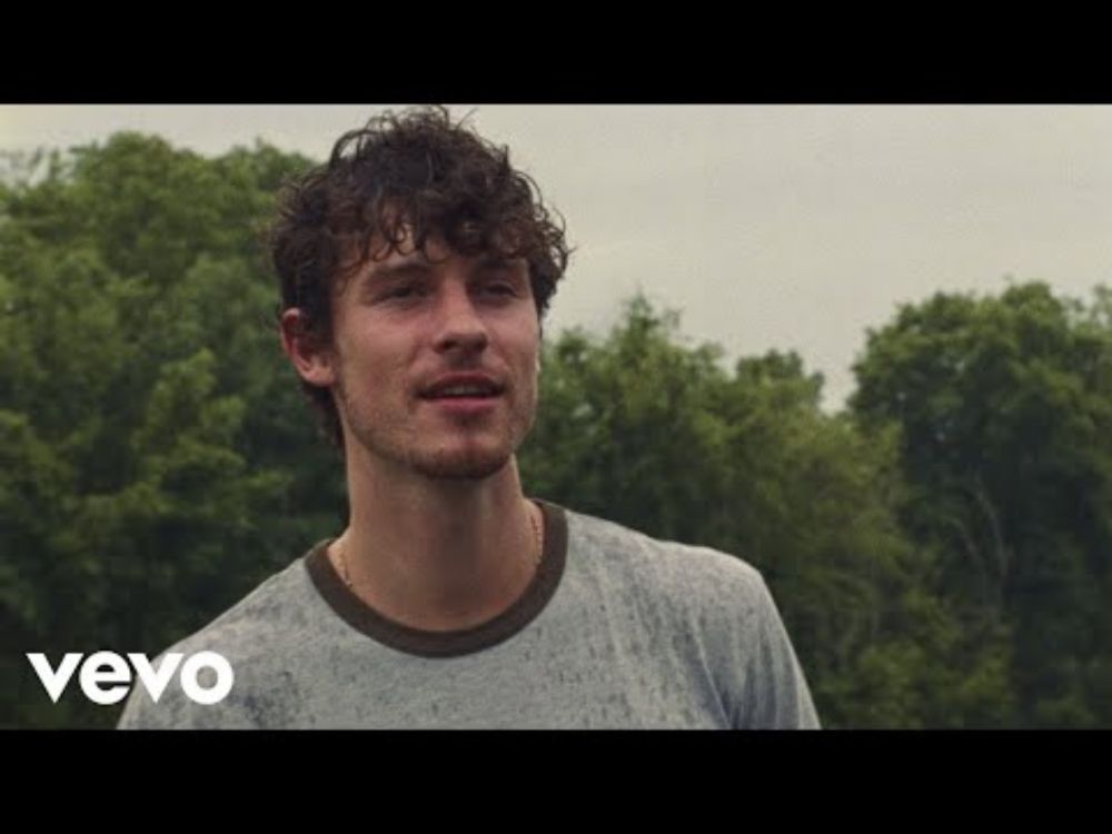 Shawn Mendes - Why Why Why (Official Music Video)