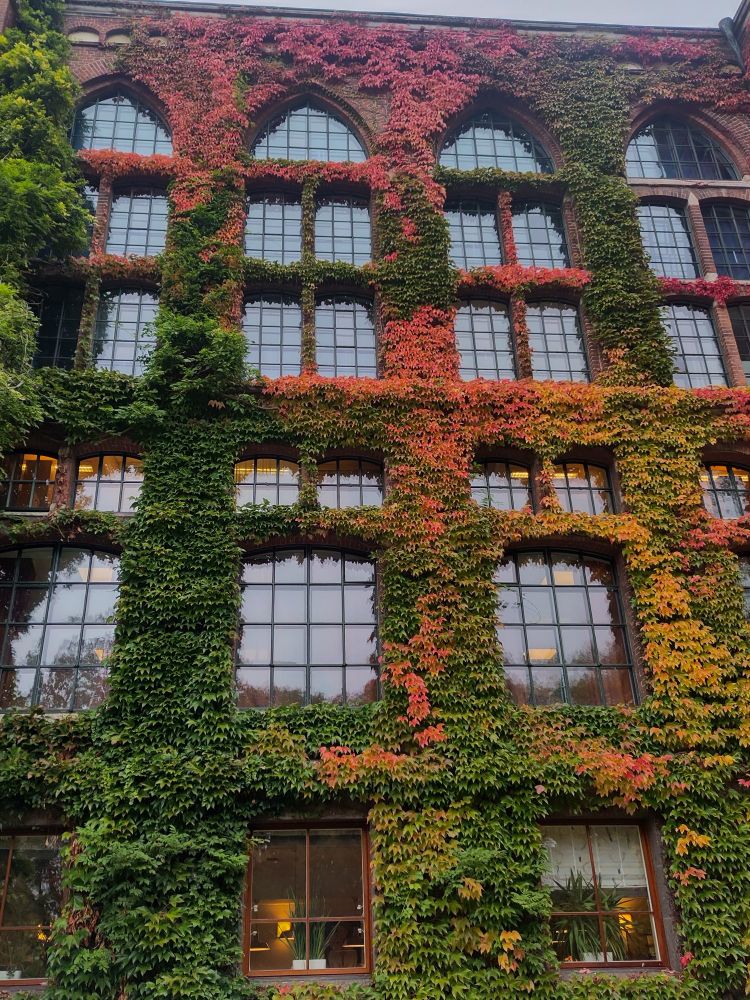 Colorful Autumn leaves in Lund, Sweden
