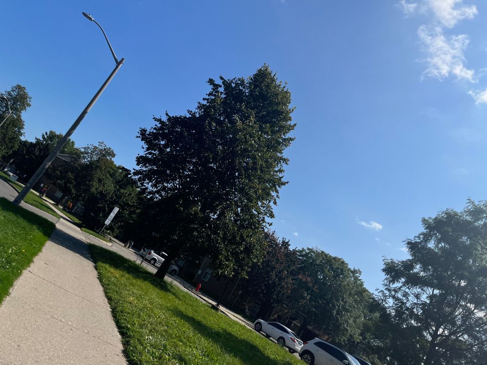 An image depicting a clear blue sky