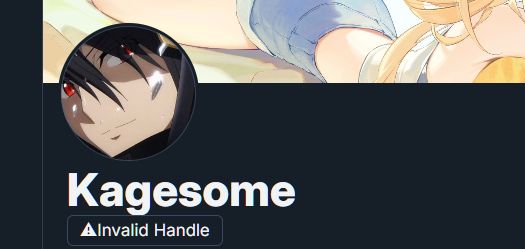 the picture says i have a invalid handle for my user