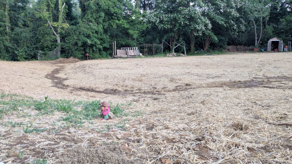 Scary Terry plush doll sitting in front of a freshly seeded and strawed field with signs of rain flowing through the ditch surrounding it. 