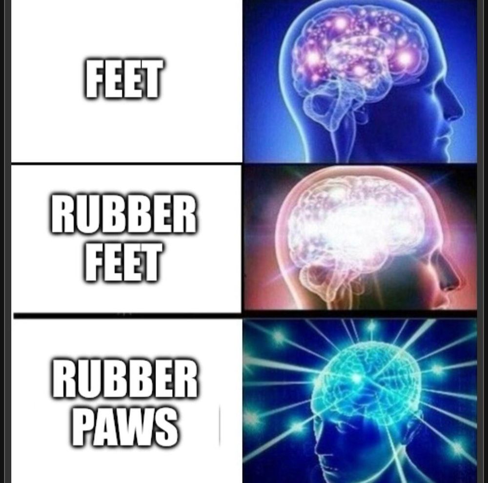 [meme template] Feet: good
Rubber feet: excellent 
Rubber paws: mind glowingly awesome 
