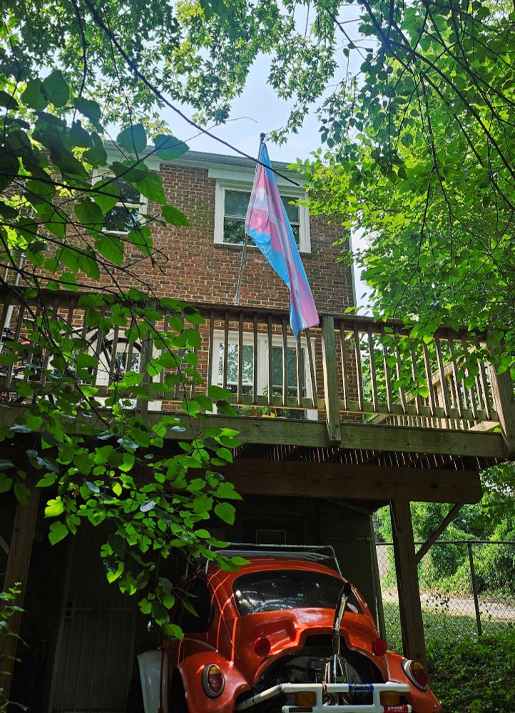 the trans flag waves in the wind, suspended at an angle from a flagpole attached to the back deck of a rowhome. underneath the deck is an orange vintage vw baja bug. the house is surrounded by trees