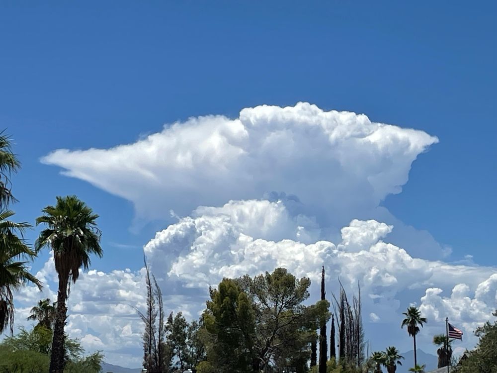 Cumulonimbus cloud in the distance with trees in the middle ground 