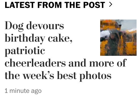 Washington Post headline: "Dog devours birthday cake, patriotic cheerleaders and more of the week's best photos"
