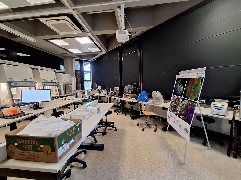 Cell culture lab with laminar flow hoods, microscopes, and a poster