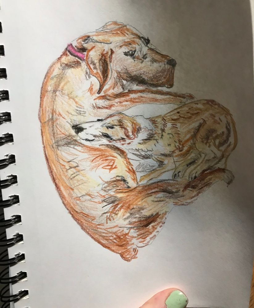 Hand illustration of the previous picture; Winnie (female coonhound) lying on floor with Christopher Robin (male German Shepard) lying on her stomach, forming a heart shaped dog pile