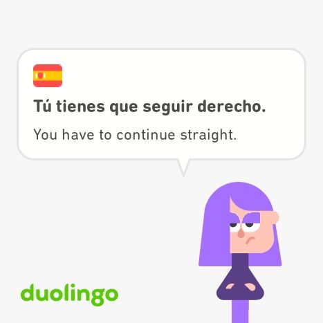 A screenshot from Spanish Duolingo that says:
"Tú tienes que seguir derecho."
"You have to continue straight."