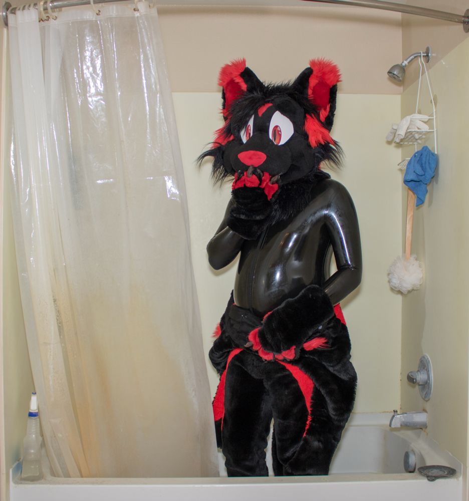 Me, wearing my fursuit, with the body down around my waist, but I'm wearing a black latex catsuit under it, standing in the bath tub.