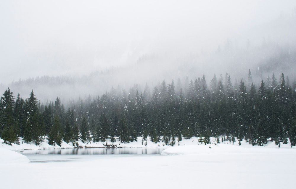 Snowy landscape of dark evergreen trees topped with fog. Small lake in foreground surrounded by snow.
Photo by Adam Chang on Unsplash
      
