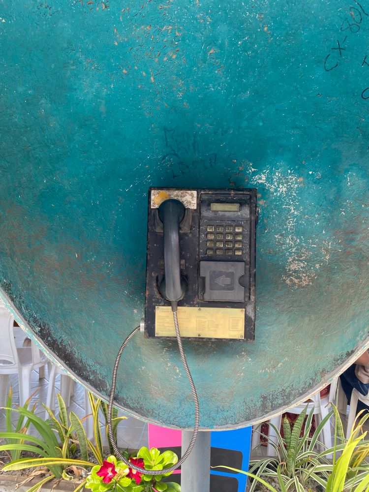 Dentro do orelhão com um telefone quase acabado, ao lado de plantas.