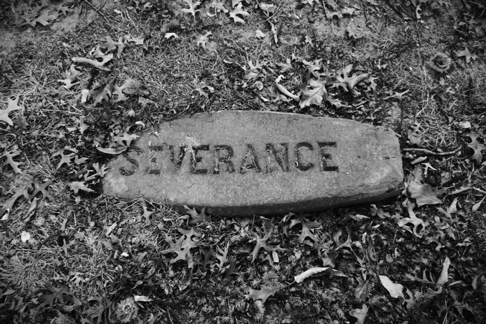 An oblong gray stone with capital letters inset, says SEVERANCE. Surrounded by leaves and chestnut hulls. In black and white.