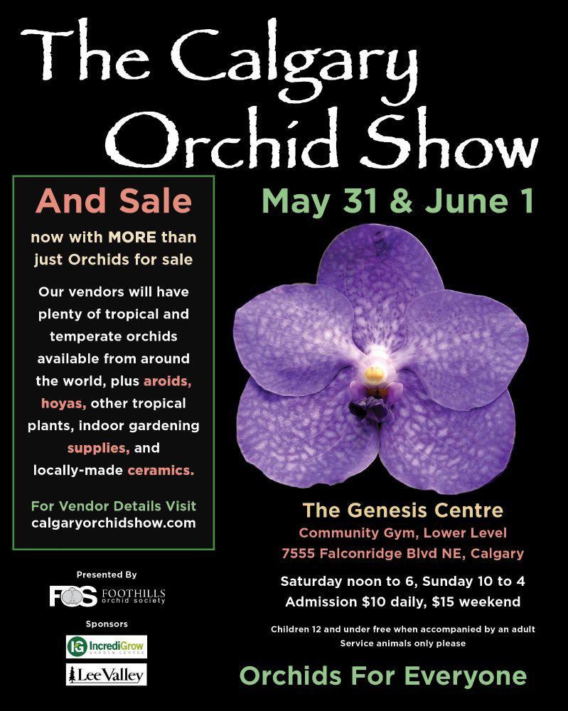 Less than 6 weeks until the Calgary Orchid Show