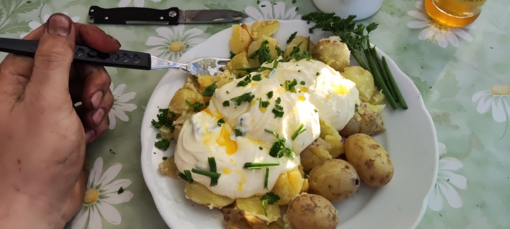 kartoffeln und quark und leinöl, meine dreckige hand hält ne Gabel