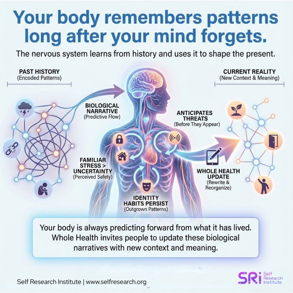 Infographic titled 'Your Body Remembers Patterns Long After Your Mind Forgets.' A split-panel illustration compares two states of the nervous system. The left panel, 'HISTORICAL PREDICTION,' shows a circular, closed loop representing 'Familiar Stress' and 'Old Identity Habits.' The right panel, 'UPDATED NARRATIVE,' shows an open, branching path representing 'New Context' and 'Growth.' The text explains: 'Your body is always predicting forward from what it has lived.' Logo: Self Research Institute.