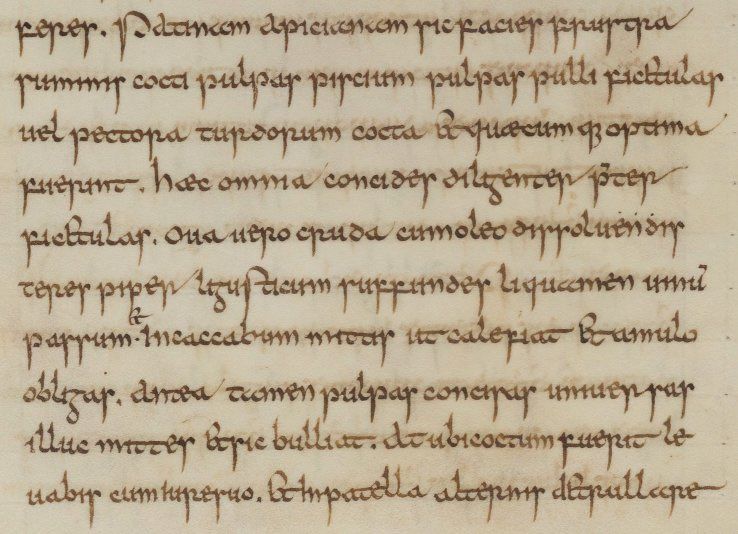 A fragment of a manuscript describing a cooking recipe.