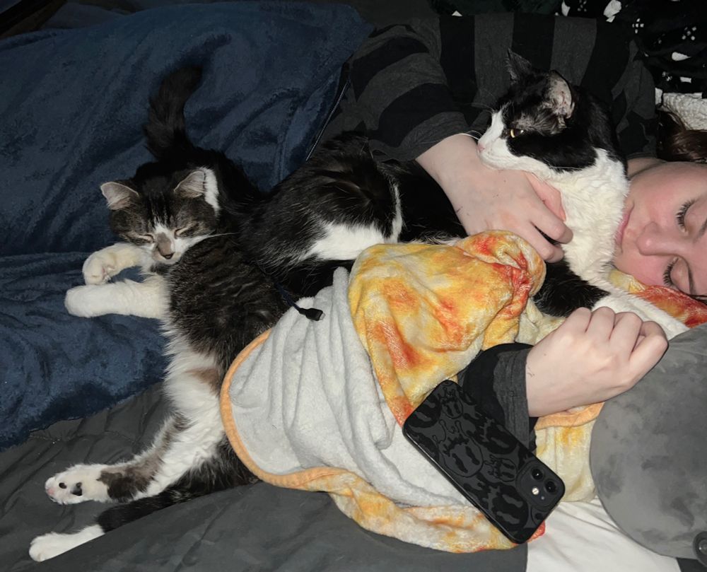 A picture my twin took of both of our cats cuddling with me while I nap. Betty is on the left, she’s a small tabby and white kitty. Jack is in my arms like a teddy bear, he’s bigger and a tuxedo. 