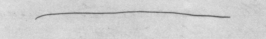 A long, handwritten line from Emily Dickinson's handwritten manuscript commonly called "Wild nights, wild nights." Black ink on whitish paper.