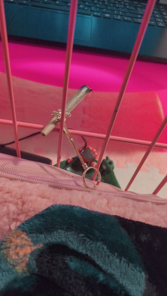 Dani's joint perfectly balanced between the bars of her cage, attached to her joint holder