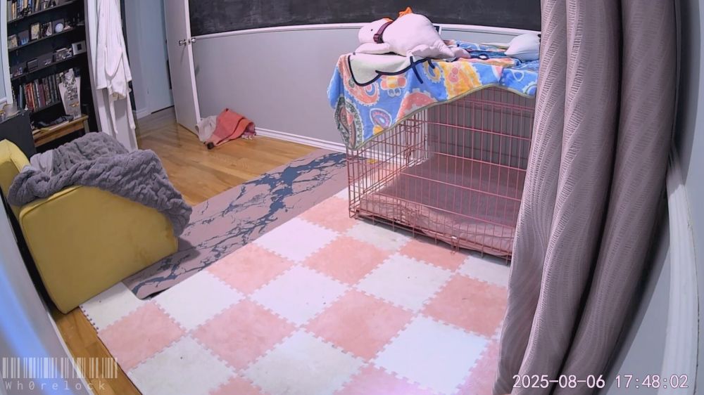 Security cam footage of Dani's playroom. You can see her pink cage, as well as pink and white carpet squares on the floor for her to be comfy on