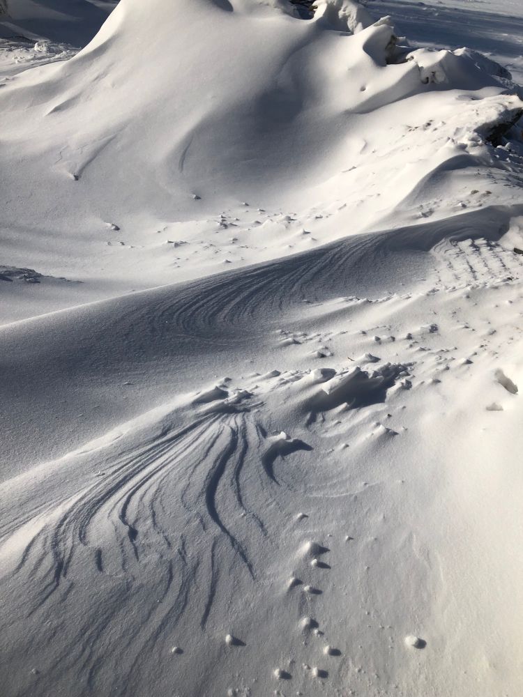 This is a photograph of multi-textured dunes and striations of snow built up by sustained winds. It looks like it might feel like running your hand across a very large open book with well-worn pages.