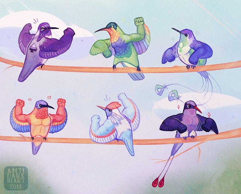 Digital art of various buff hummingbirds that are themed after different pride flags
