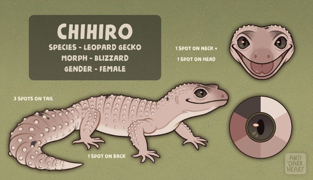 Digital blizzard morph Leopard Gecko reference sheet