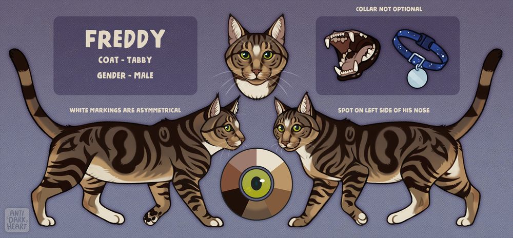 Digital tabby cat pet reference sheet