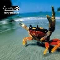 Fat of the land by The Prodigy 
